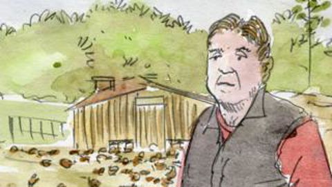 « Des traces de salmonelles ont été trouvées dans notre élevage » « Des traces de salmonelles ont été trouvées dans notre élevage »